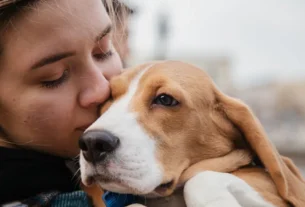 Erros que os tutores cometem