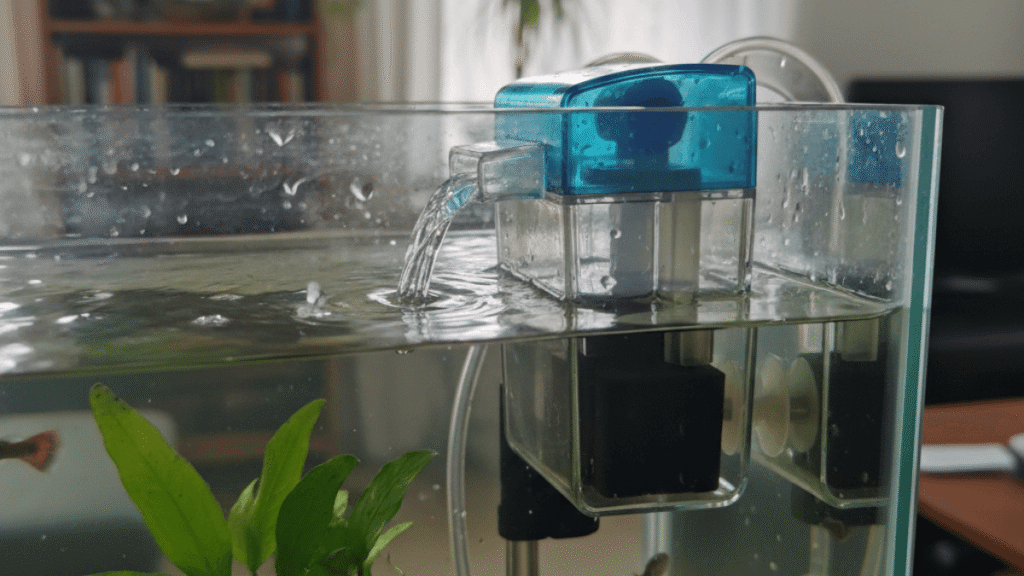 Como escolher o filtro ideal para o seu aquário