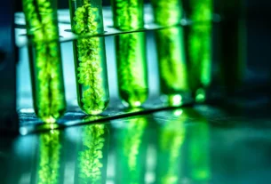 Evitar Algas no Aquário de Água Doce