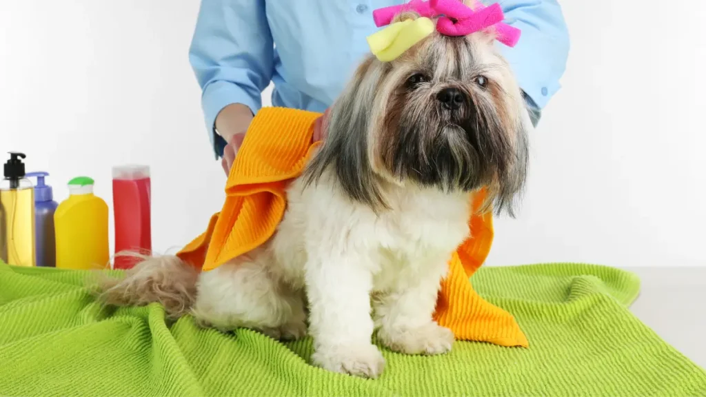 Higiene do próprio pet