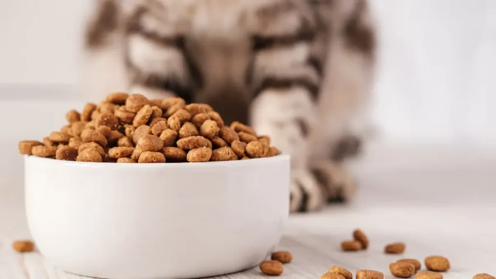 Mitos e Verdades sobre Probióticos e Prebióticos na ração