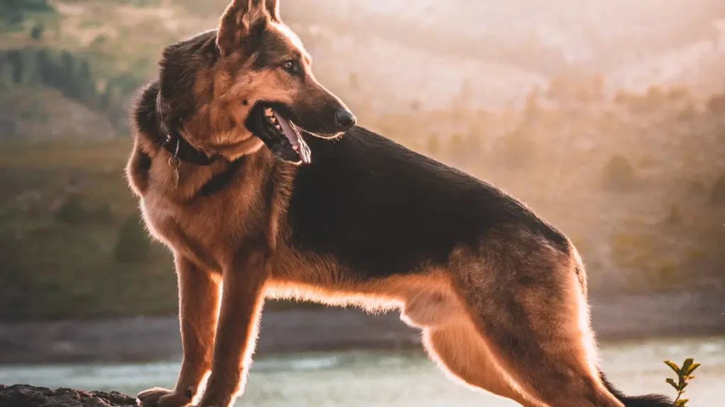 O GPS substitui outros cuidados de segurança