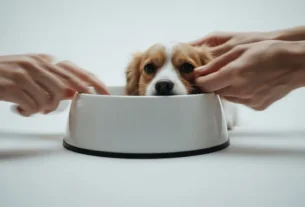 Probióticos e Prebióticos na ração