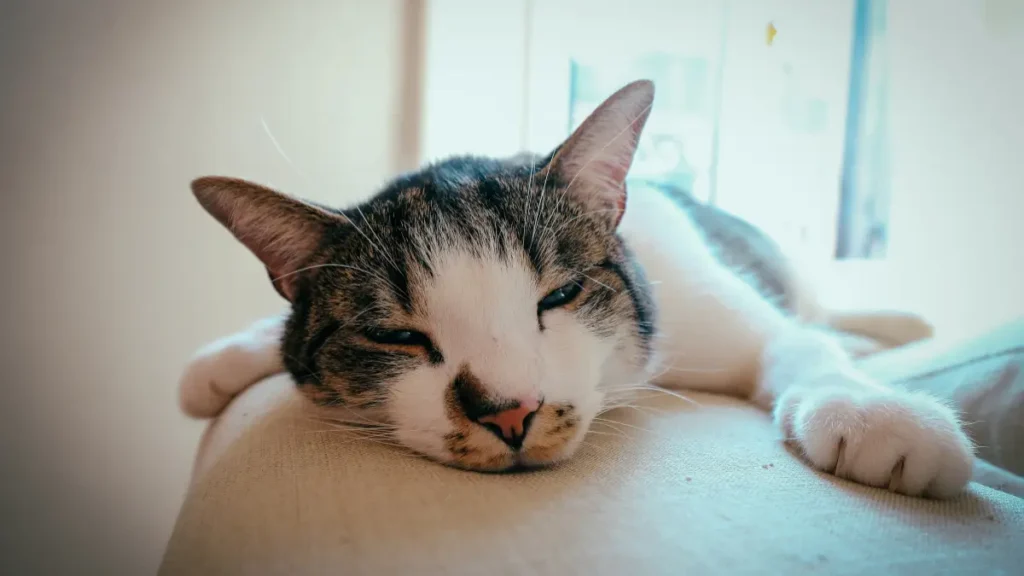 Quando procurar ajuda profissional