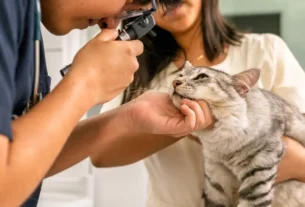 Saúde Mental Felina