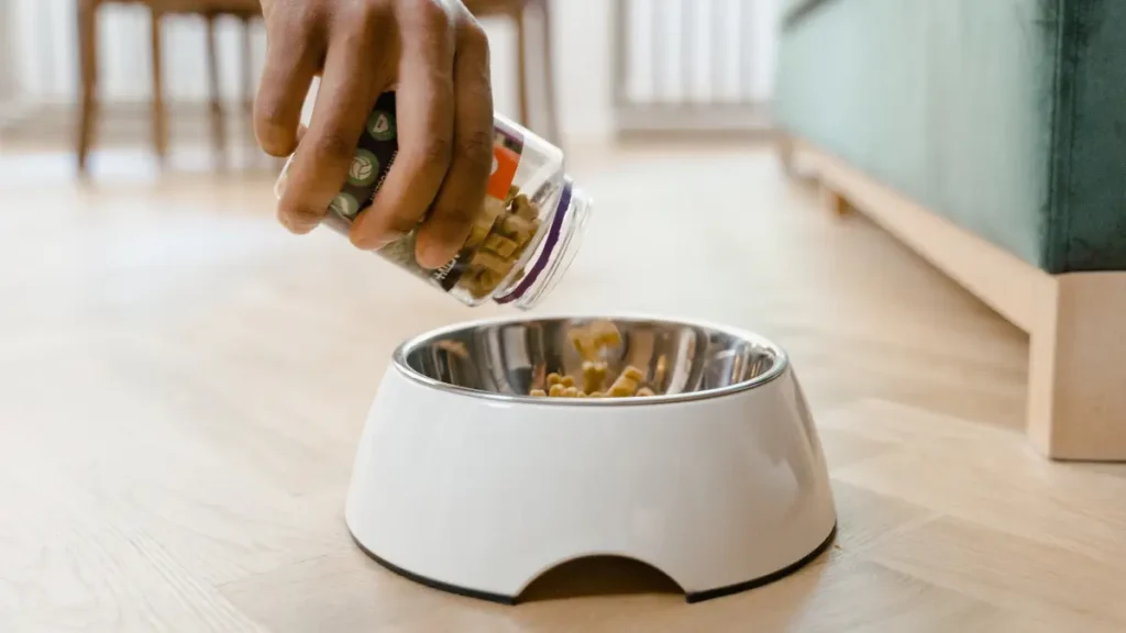 Ingredientes que você deve evitar na ração