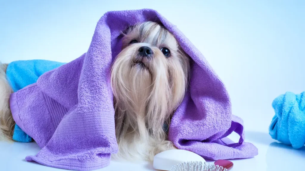 ração para queda de pelo